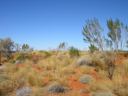 desert red sand australian outback
