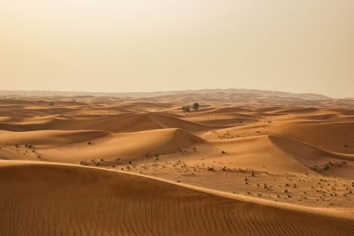 desert sand dry