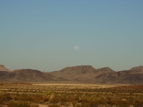 desert las vegas las