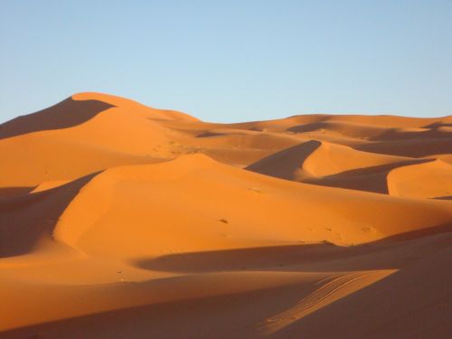 desert sand dune dune