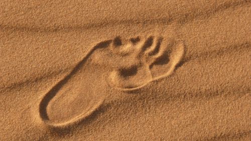 desert footprint foot