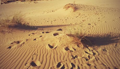 desert fingerprint sardinia