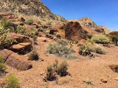 desert rocks nature