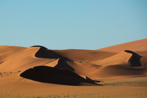 desert sand namib
