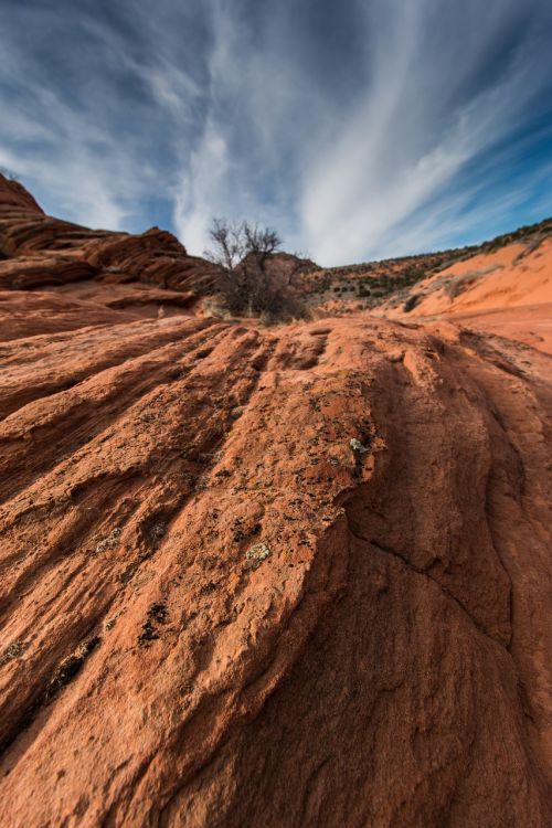 desert rock sandstone