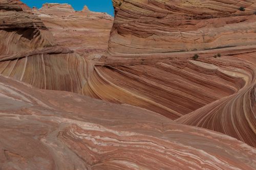 desert rock sandstone