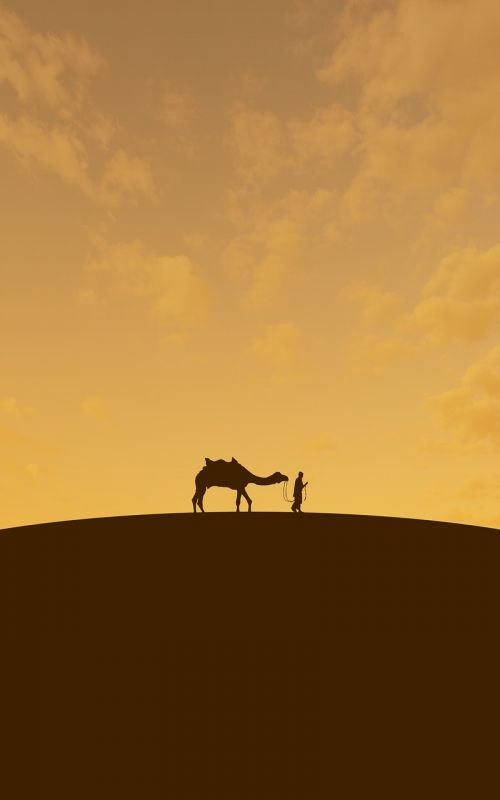 desert camel orange