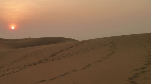 desert sunset nature