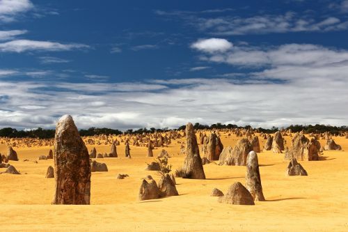 desert dry landscape