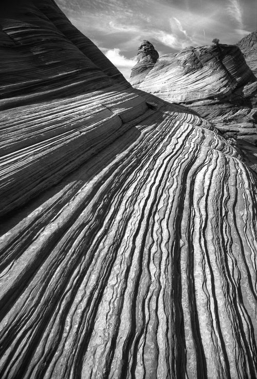 desert dry landscape