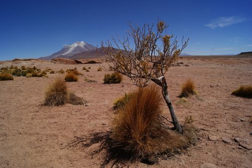 desert bolivia landscape