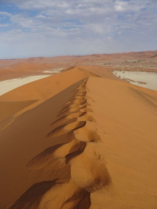 desert dunes trace