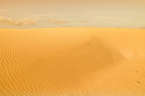 desert dune sand