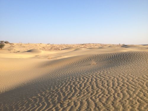 desert india nature