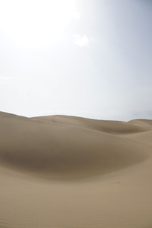 desert gran canaria beach