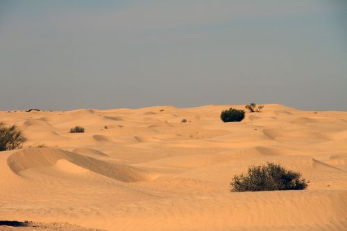 desert tunisia nature