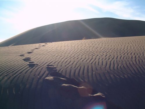 desert footprints sand