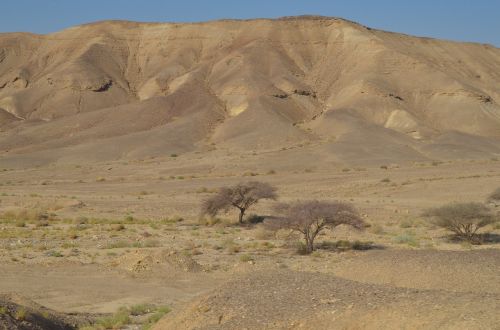 desert israel landscape