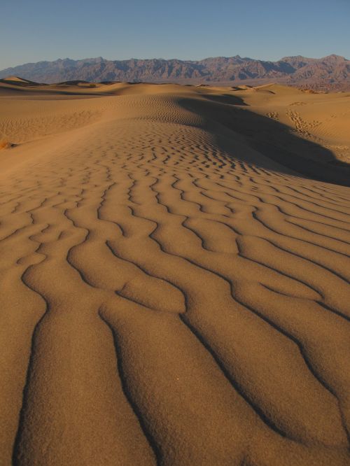 desert dune sand