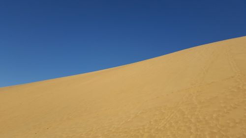 desert namibia dune