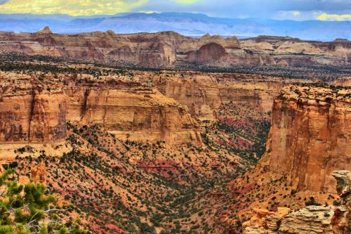 desert canyon nature