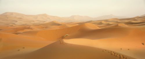 desert morocco dunes