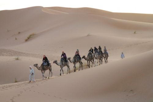 desert sahara moroccan