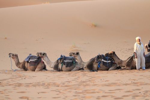 desert sahara moroccan