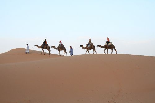 desert sahara moroccan