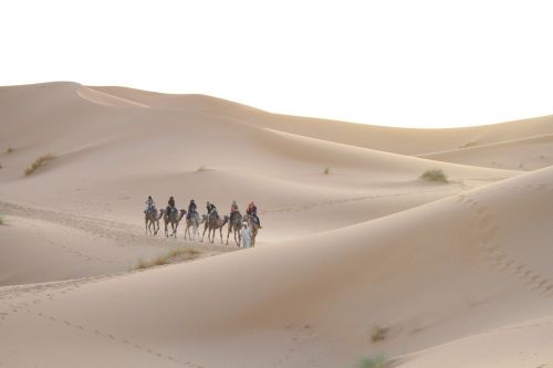 desert sahara moroccan