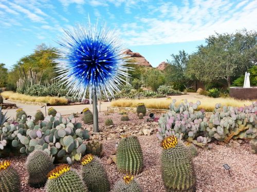 desert botanical gardens