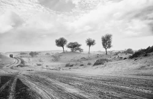 desert monochrome travel