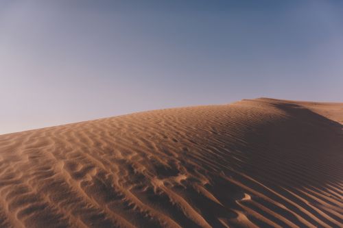 desert landscape sunny