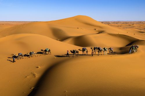 desert landscape sunny