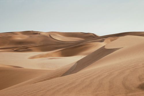 desert sand adventure
