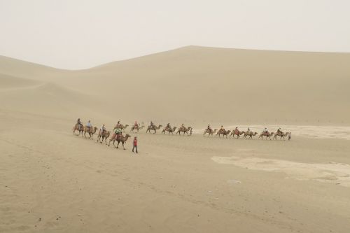 desert mingsha caravans