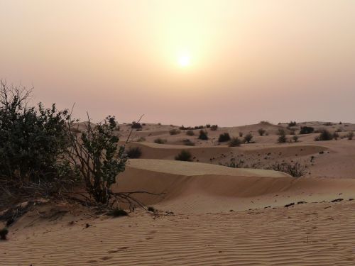desert sunset heat