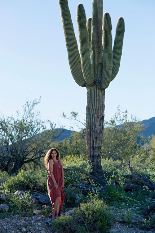 desert cactus road