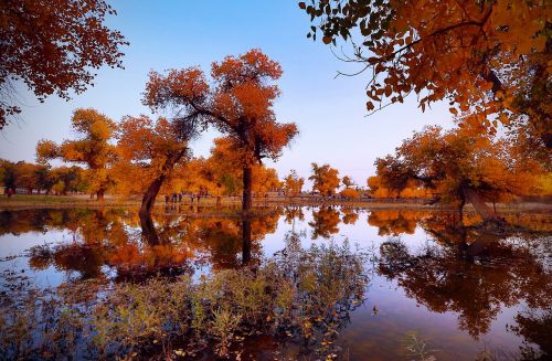 desert the scenery water