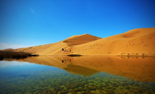 desert the scenery natural