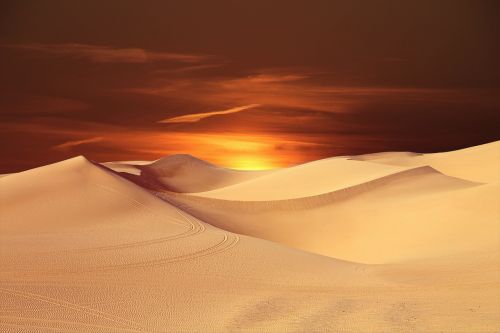 desert sun landscape