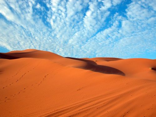 desert summer morocco