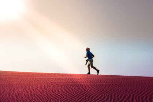 desert run abu dhabi