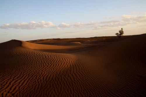 desert morocco africa