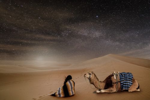 desert night starry sky