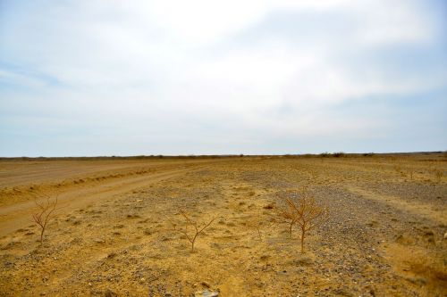 desert house landscape