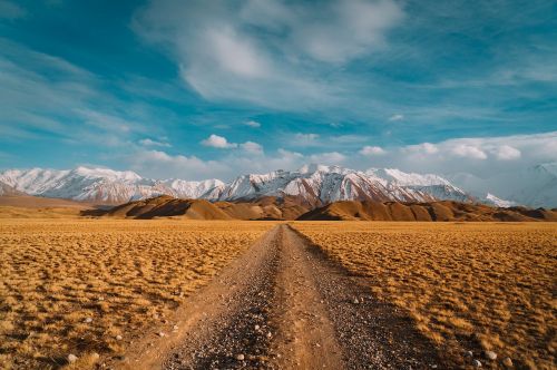 desert landscape dry