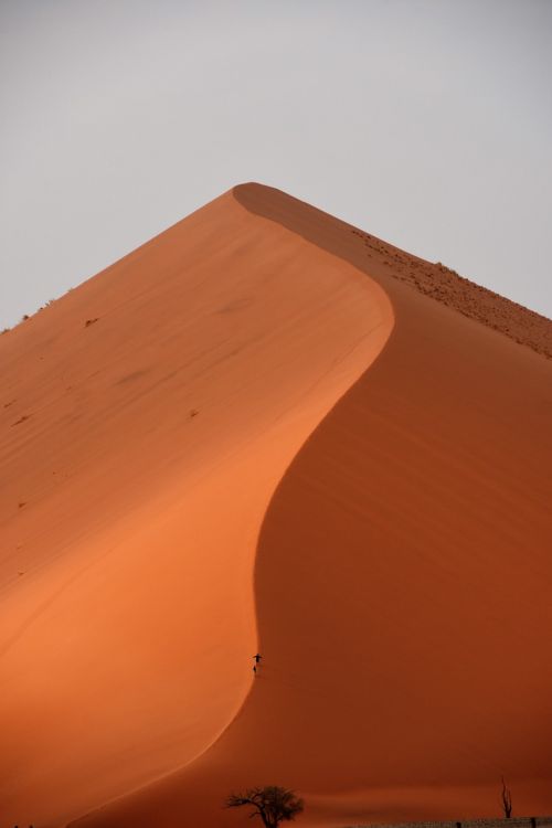 desert dune sossusvlei