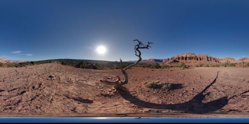 desert landscape nature