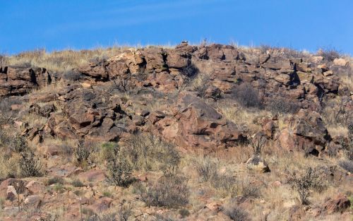 desert dry nature